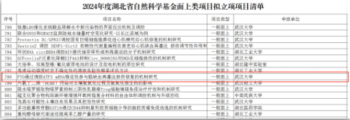 2024澳门资料大全正版资料